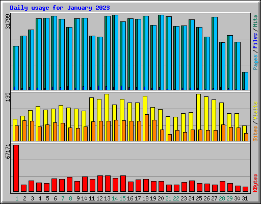 Daily usage for January 2023