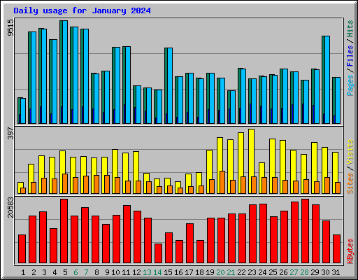 Daily usage for January 2024