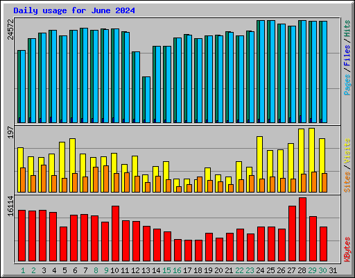 Daily usage for June 2024