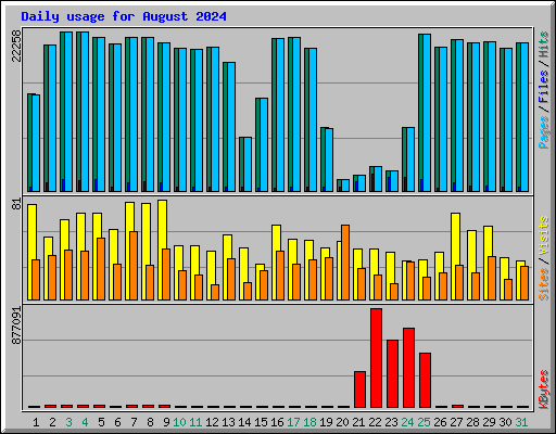 Daily usage for August 2024