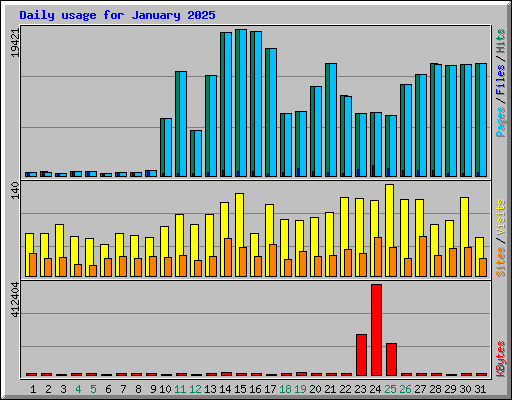 Daily usage for January 2025