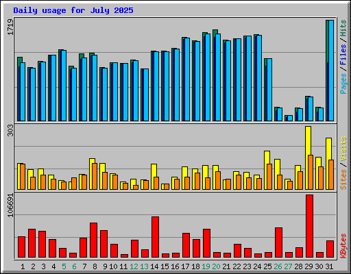 Daily usage for July 2025