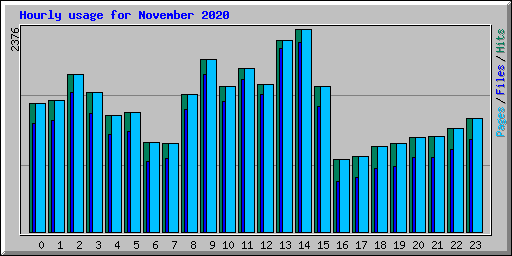 Hourly usage for November 2020
