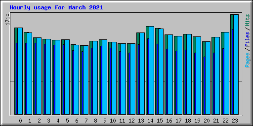 Hourly usage for March 2021