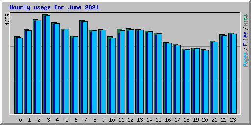 Hourly usage for June 2021