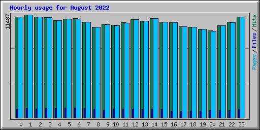 Hourly usage for August 2022