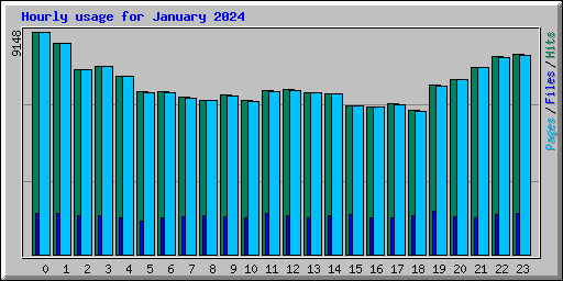 Hourly usage for January 2024