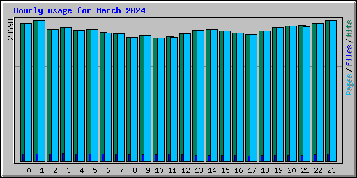 Hourly usage for March 2024