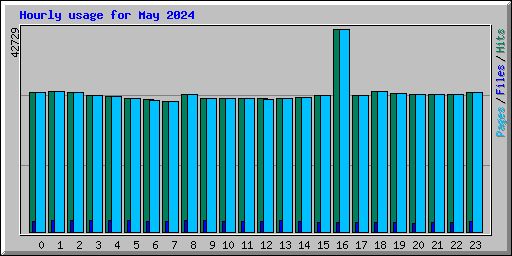 Hourly usage for May 2024