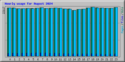 Hourly usage for August 2024