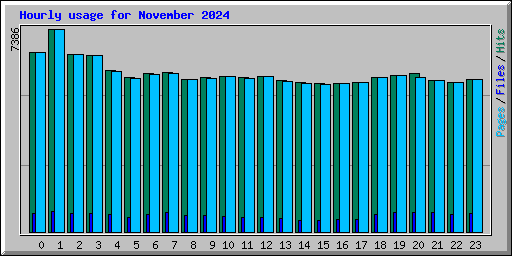 Hourly usage for November 2024