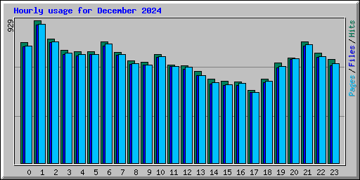 Hourly usage for December 2024