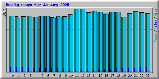 Hourly usage for January 2025