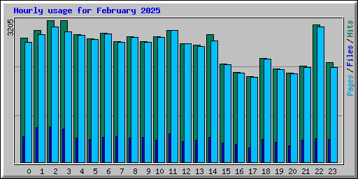 Hourly usage for February 2025