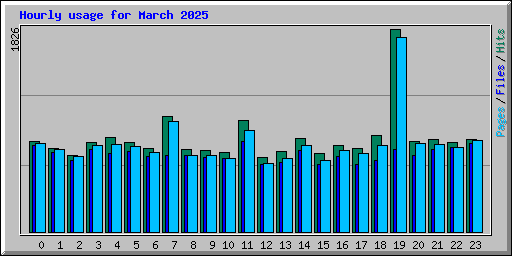 Hourly usage for March 2025