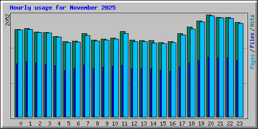 Hourly usage for November 2025