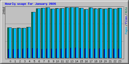 Hourly usage for January 2026